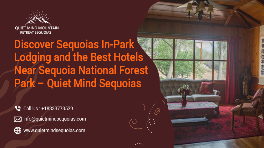 Discover Sequoias In-Park Lodging and the Best Hotels Near Sequoia National Forest Park – Quiet Mind Sequoias