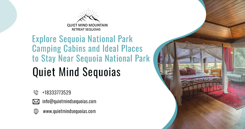 Explore Sequoia National Park Camping Cabins and Ideal Places to Stay Near Sequoia National Park – Quiet Mind Sequoias