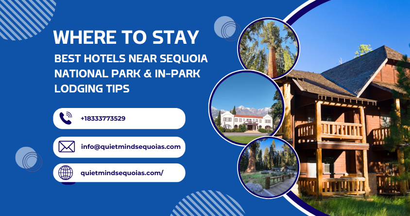 Where to Stay: Best Hotels Near Sequoia National Park & In-Park Lodging Tips