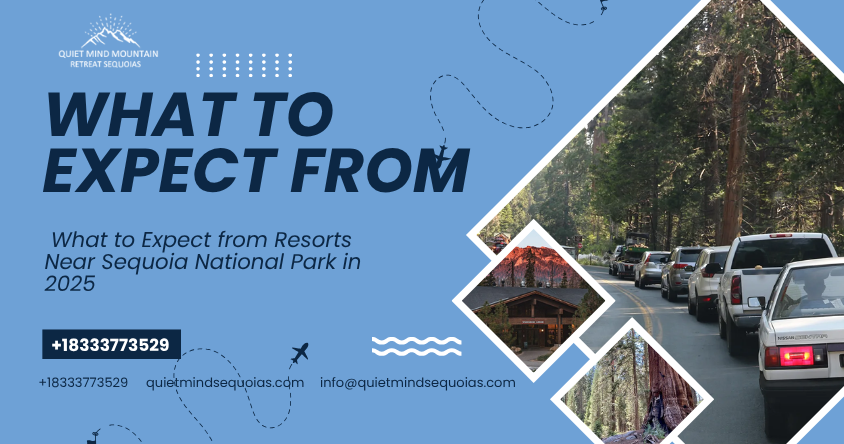 What to Expect from Resorts Near Sequoia National Park in 2025