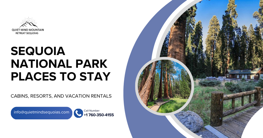 Sequoia National Park Places to Stay: Cabins, Resorts, and Vacation Rentals