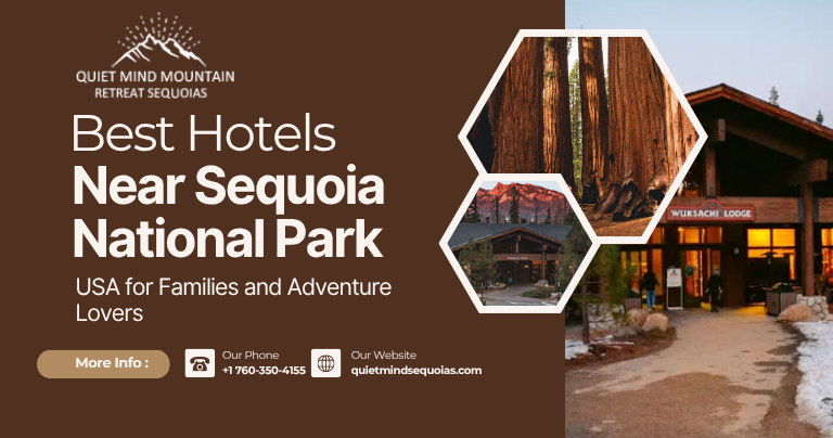 Best Hotels Near Sequoia National Park USA for Families and Adventure Lovers